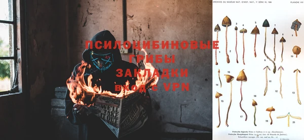 спиды Гусь-Хрустальный