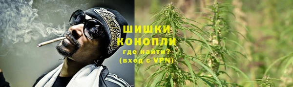 спиды Гусь-Хрустальный