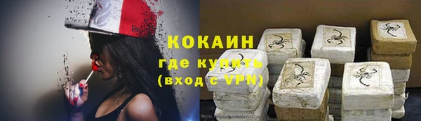 не бодяженный Гусев