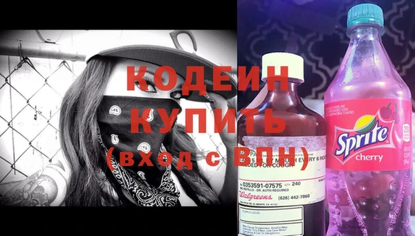 не бодяженный Гусев