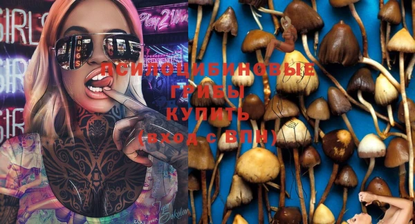 стаф Магадан