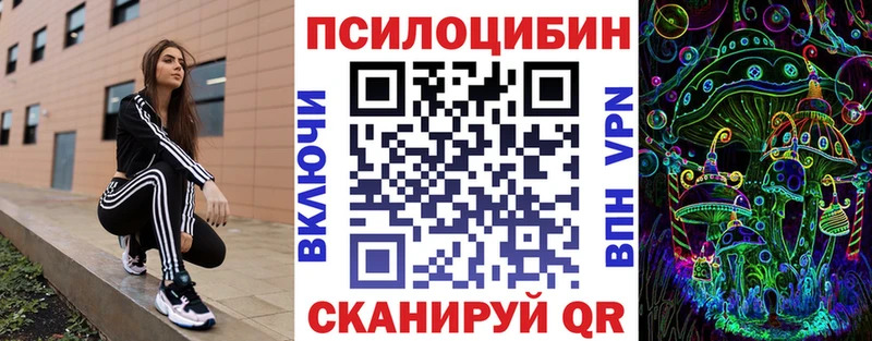 купить наркоту  Меленки  Галлюциногенные грибы Psilocybe 